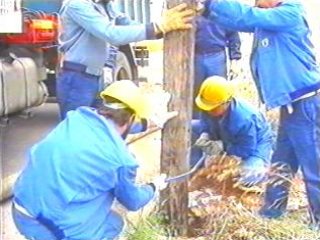 GESA CAMBIO POSTE (34)  PREVENCION RIESGOS